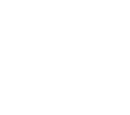 SAF One Education logo